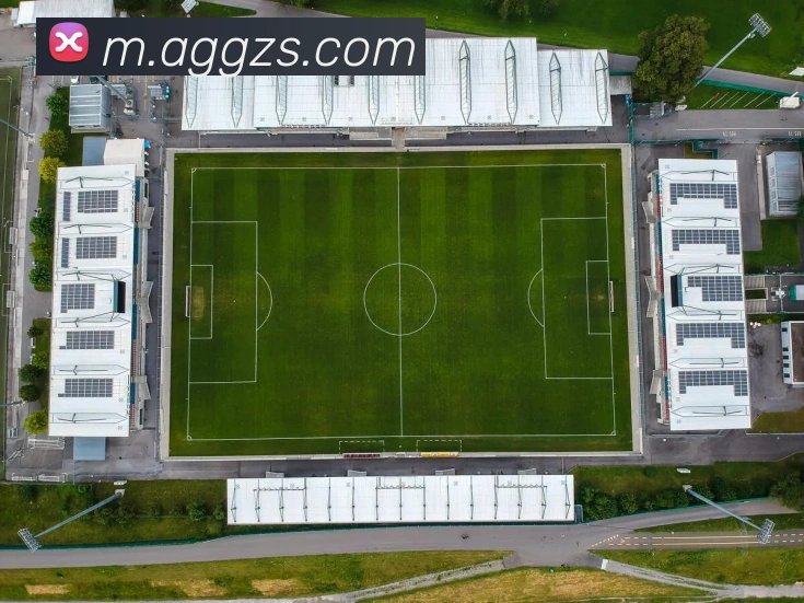 ag官网服务体系